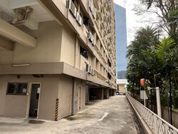 Birmingham Mansions (D11), Apartment #495676631